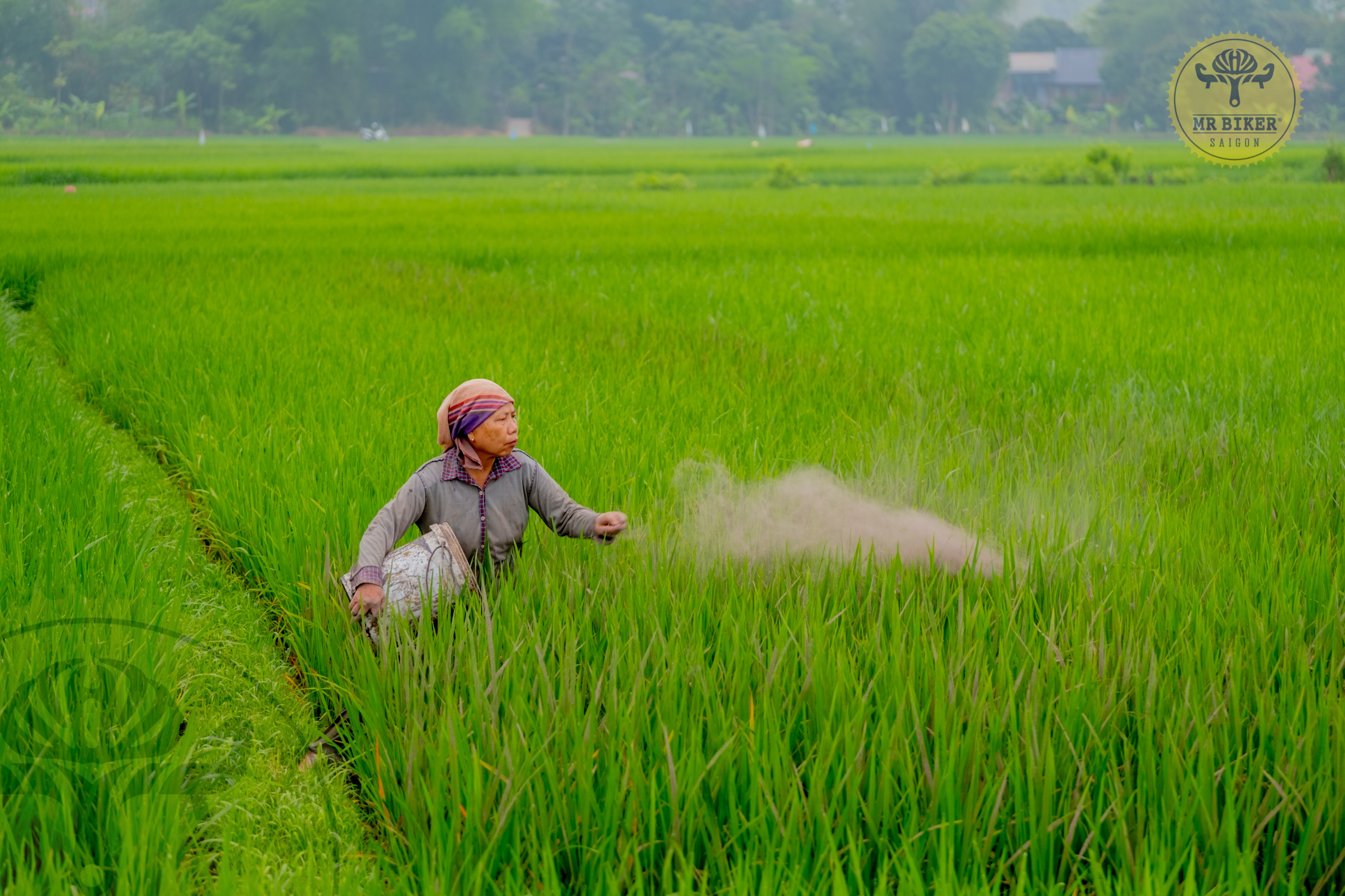 tourhub | Mr Biker Saigon | NORTH-WEST VIETNAM CYCLING TOUR - Mai Chau - Pu Luong 