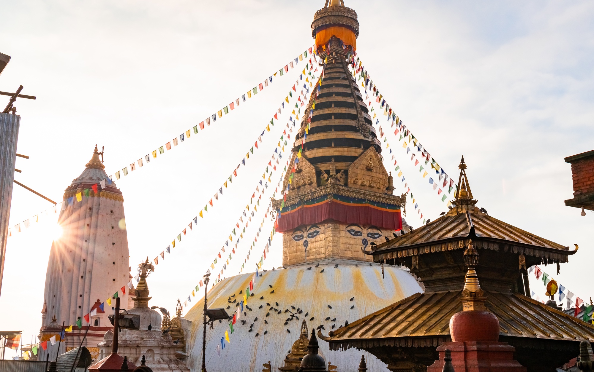 tourhub | One Life Adventures | Nepal Snapshot 7 Day tour 