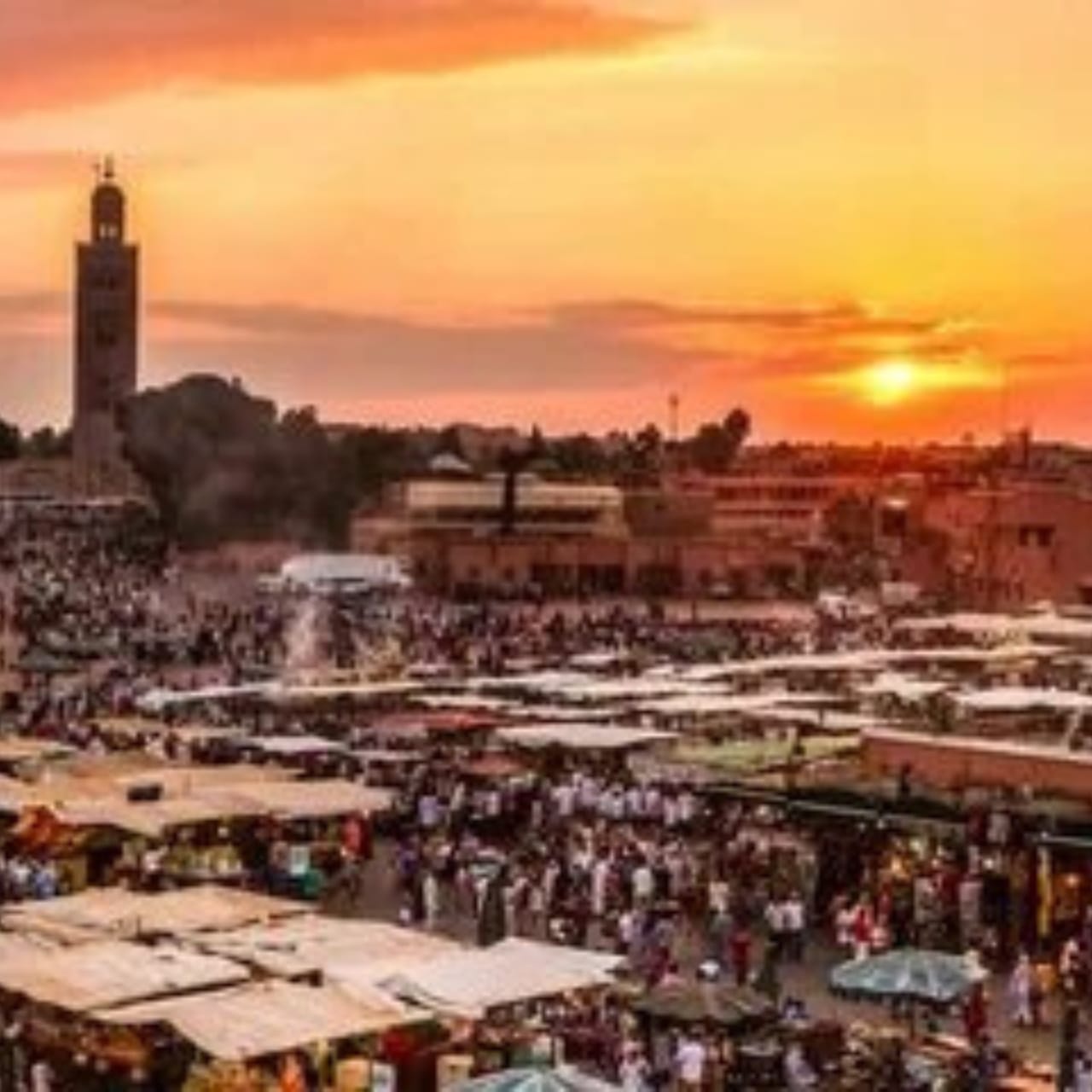 tourhub | Morocco Global Adventures | 7 Days From Tangier To Marrakech via Desert 