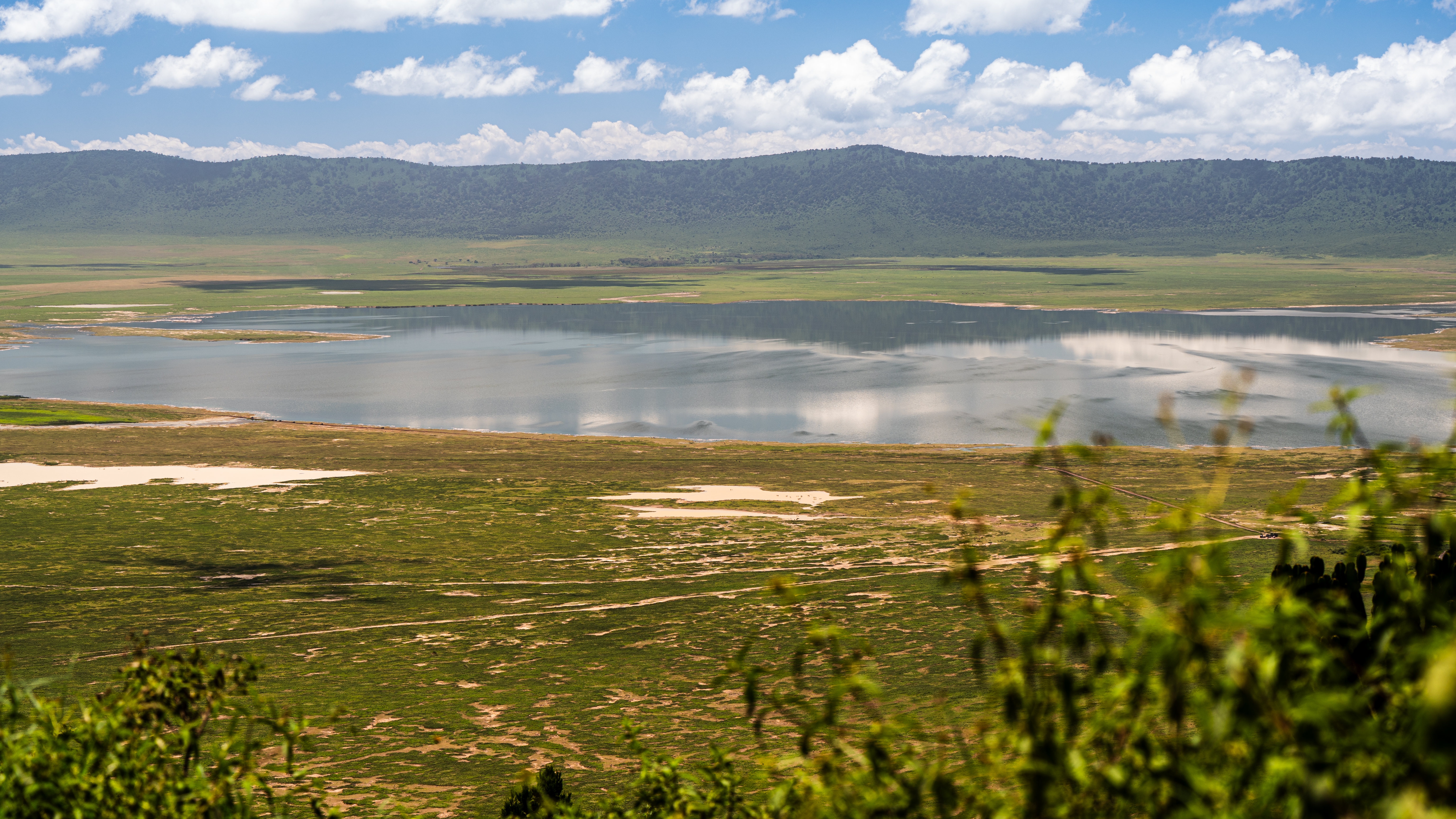 tourhub | Beach and Safari Holidays | From Arusha: 5 Days Classic Safari Cats, Calves & Crater 