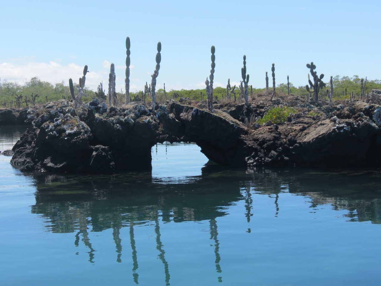 tourhub | Latin Adventures | 5-Day Galapagos Island Hopping - Santa Cruz & Isabela 