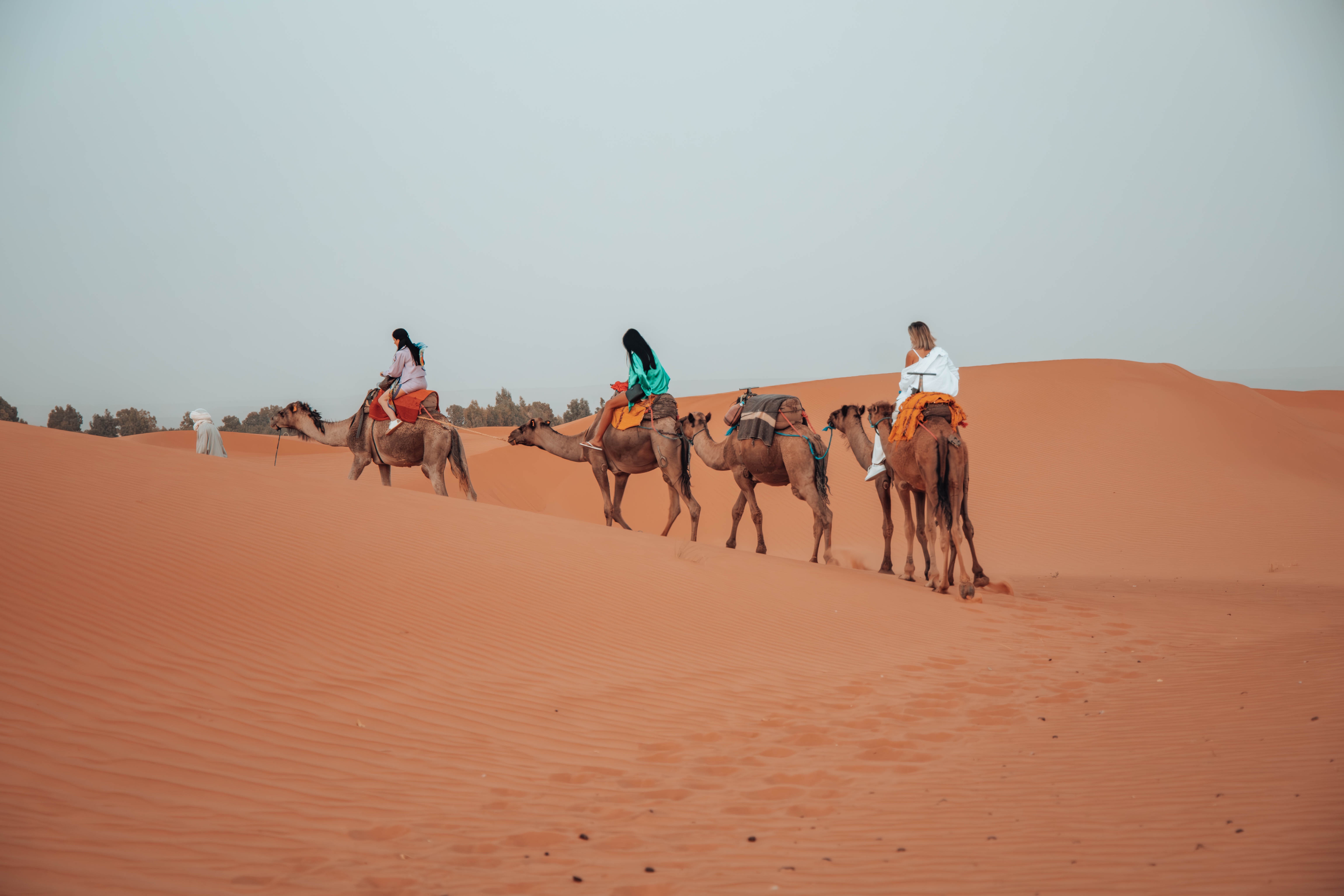 tourhub | Escorted Morocco Tours | 3 Days Morocco Sahara Desert Tour from Marrakech 