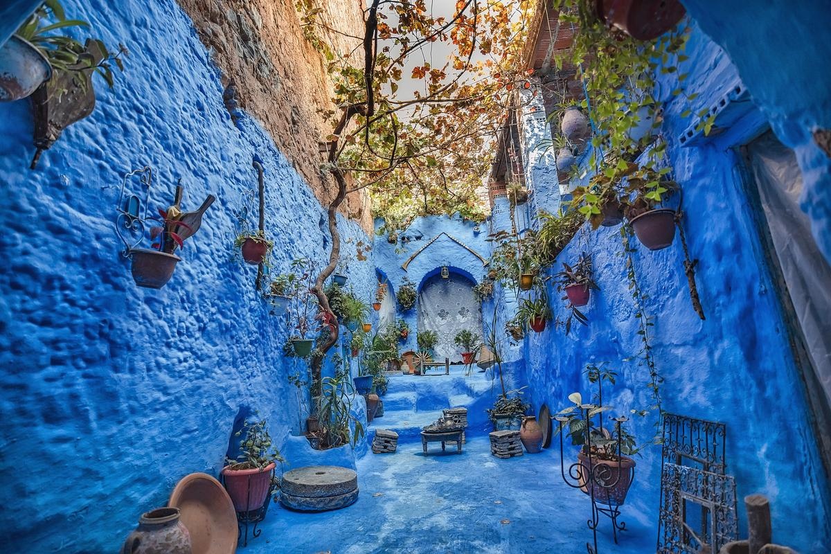 tourhub | Best Tours Morocco | Private Moroccan Adventure: Tangier, Chefchaouen, Fes, Essaouira, and Marrakech 