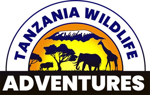 Tanzania Wildlife Adventures