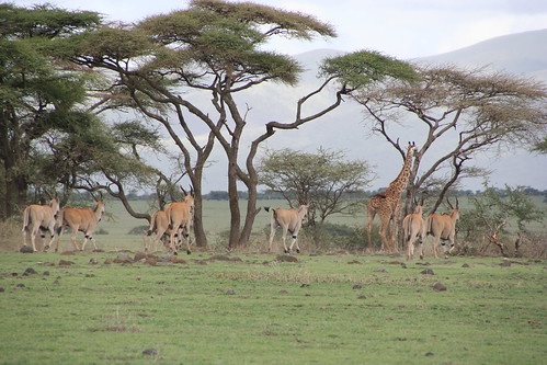 tourhub | Widerange African Safaris | 2 days Tanzania  Camping Group Sharing safari package 