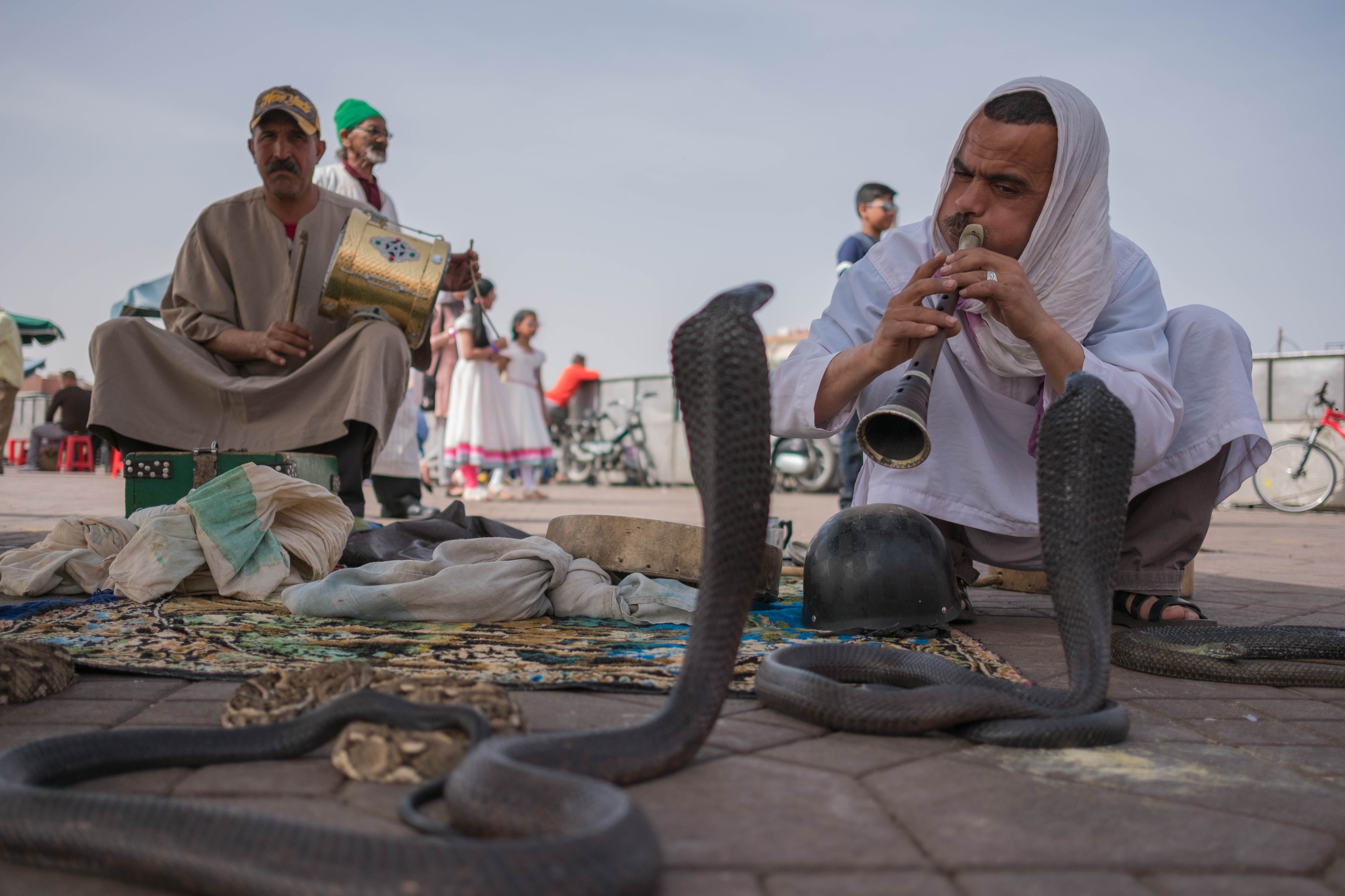 tourhub | Best Tours Morocco | Marrakech to Marrakech: A Grand Moroccan Experience 