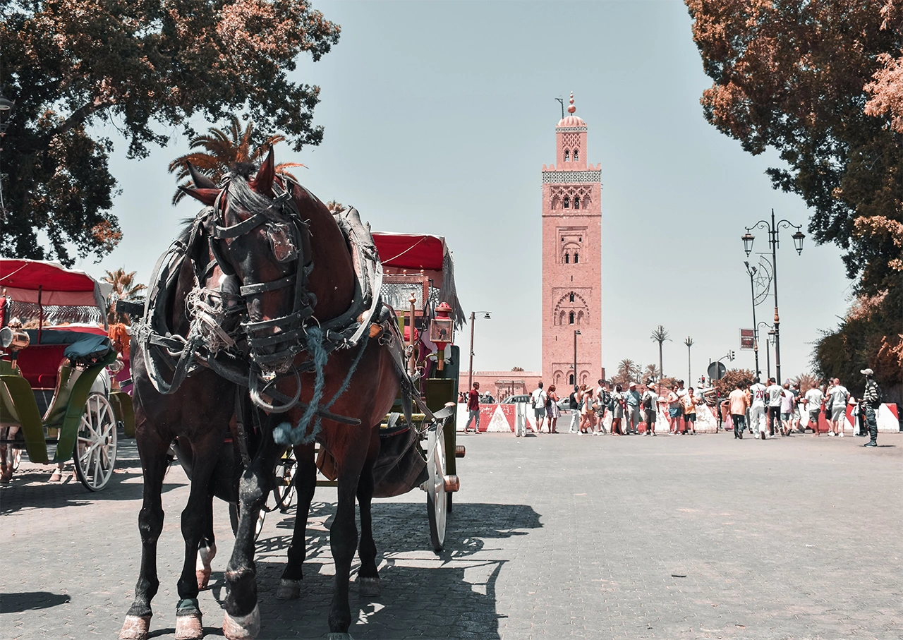 tourhub | Morocco Trips Services | 11 Days Moroccan Odyssey Journey from Casablanca 