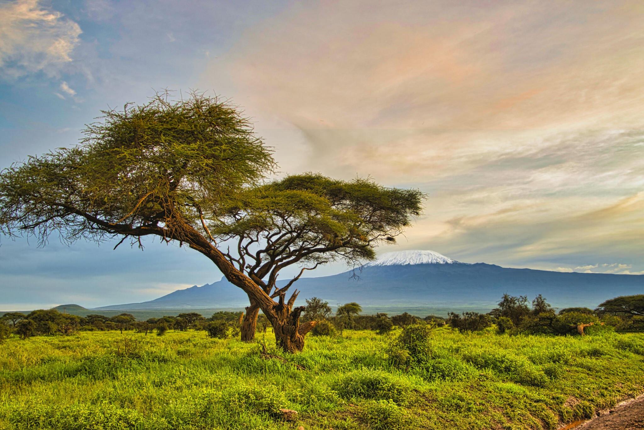 tourhub | Johnbow Tours and Travel | 3 Days Amboseli National Park Safari 