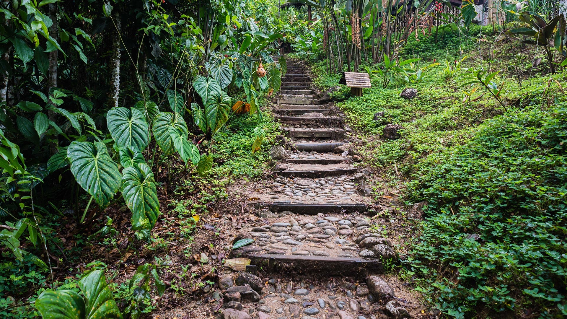 tourhub | Ecuador Galapagos Travels | 14 days Andean Cultures Ecuador 