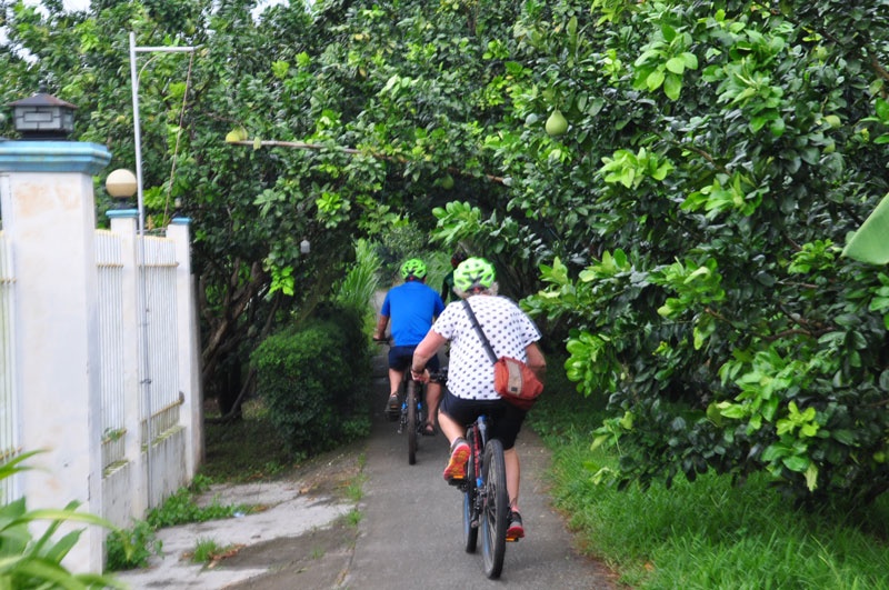 tourhub | Vietnam By Bike | Cycling Mekong Delta in Vietnam 5 Days 