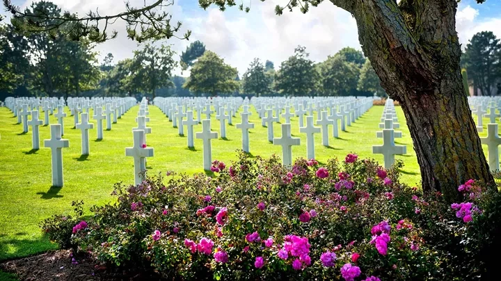 tourhub | Insight Vacations | WWI and WWII Battlefields  - Classic Group 