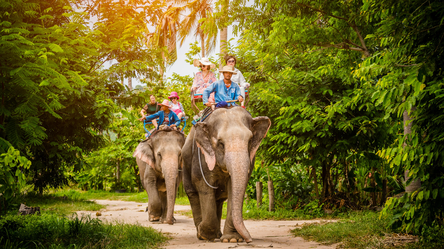 tourhub | Open Asia Travel | Discover Vientiane & Luang Prabang: 4-Day Laos Adventure 