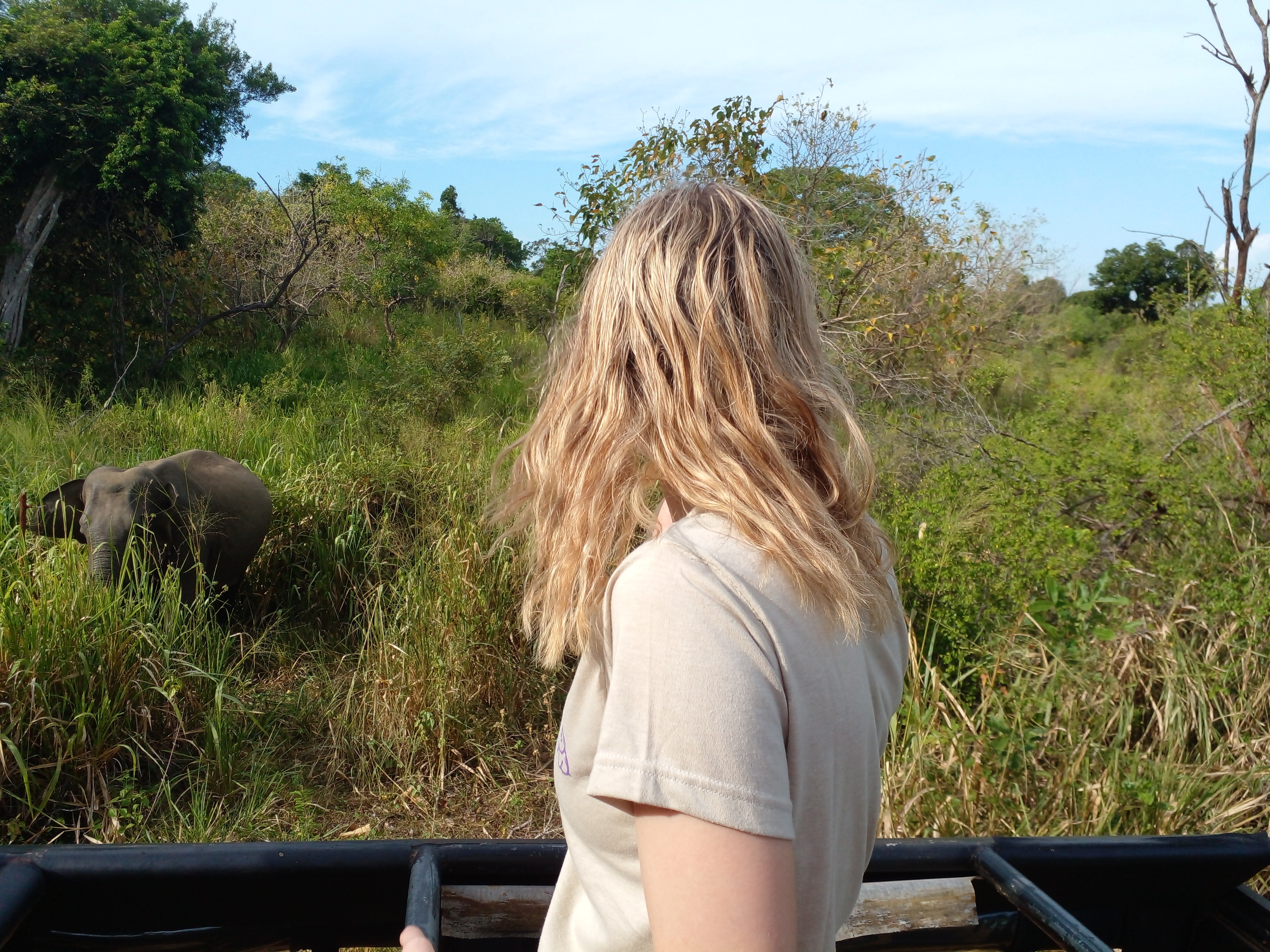 tourhub | Ran Lanka Tour Holidays (pvt) Ltd | Kingdom of Sigiriya Tour 