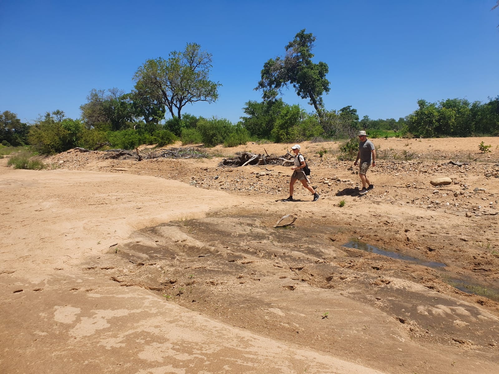 tourhub | Timeline Travel | 3-Day Kruger National Park Manyeleti Tour 