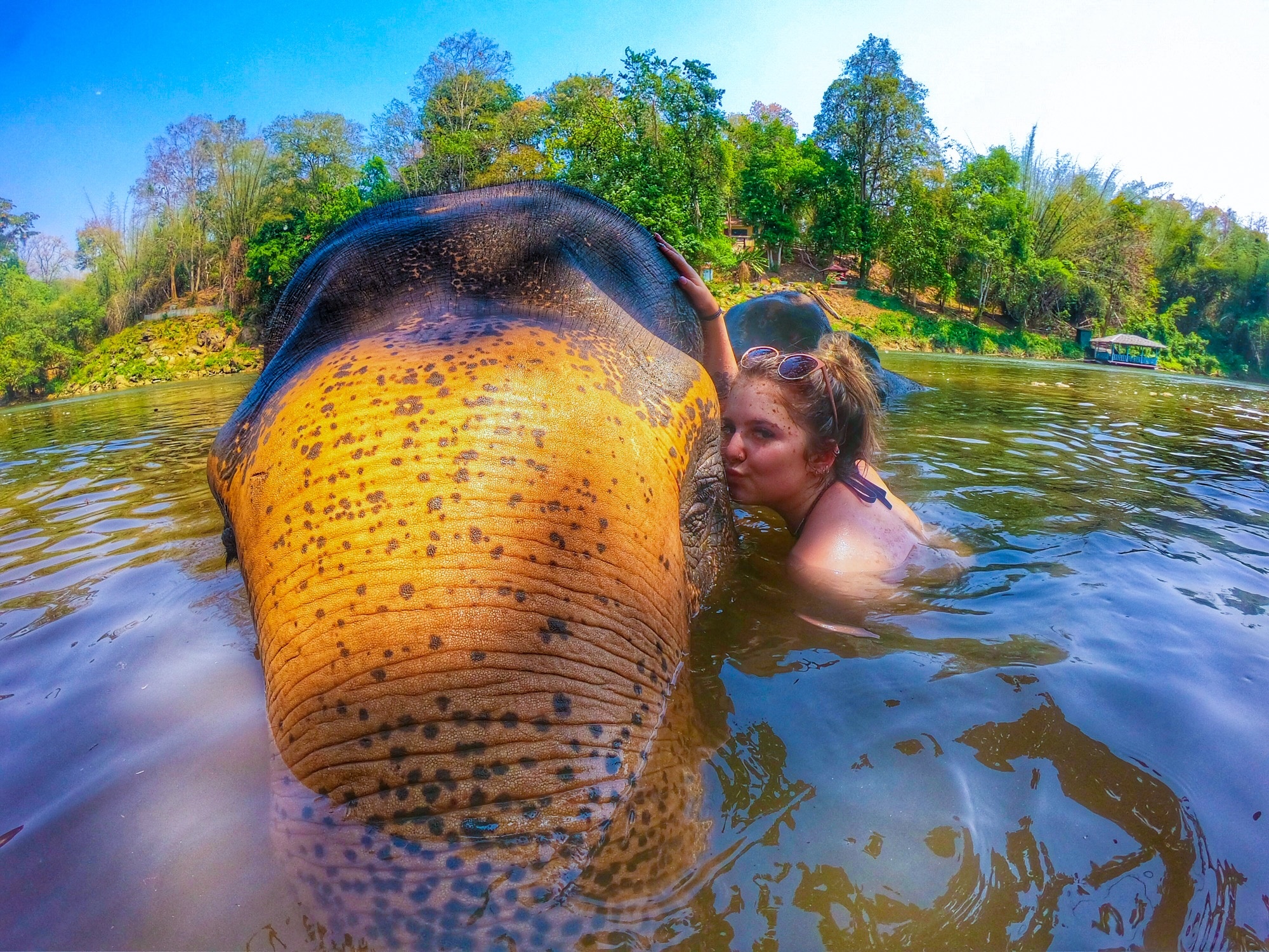 tourhub | Backpacking Tours | Volunteering with Elephants: Thailand 