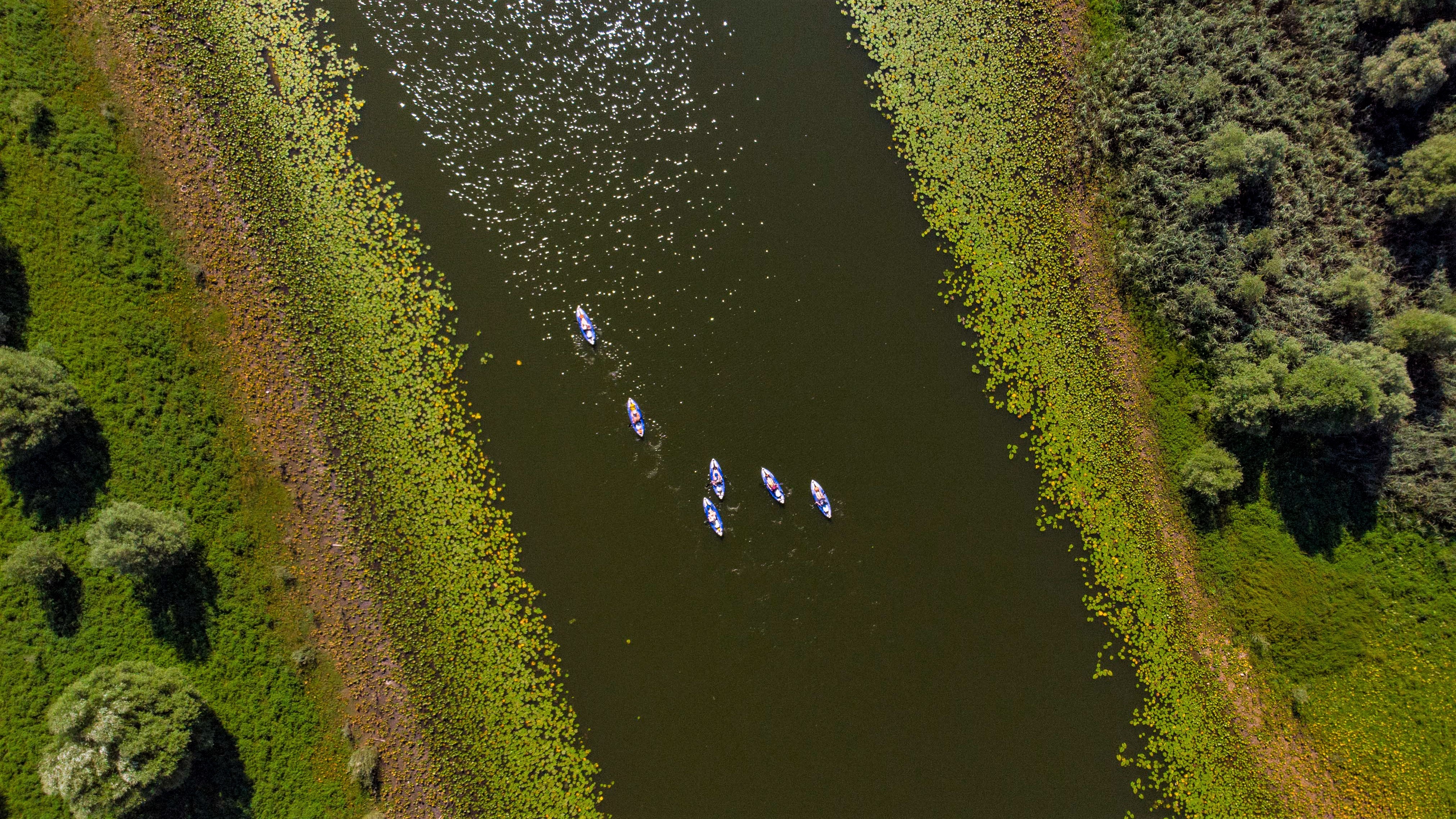 tourhub | Undiscovered Balkans | 7 Day Kayak & Wild Camp: Lake Skadar, Montenegro 