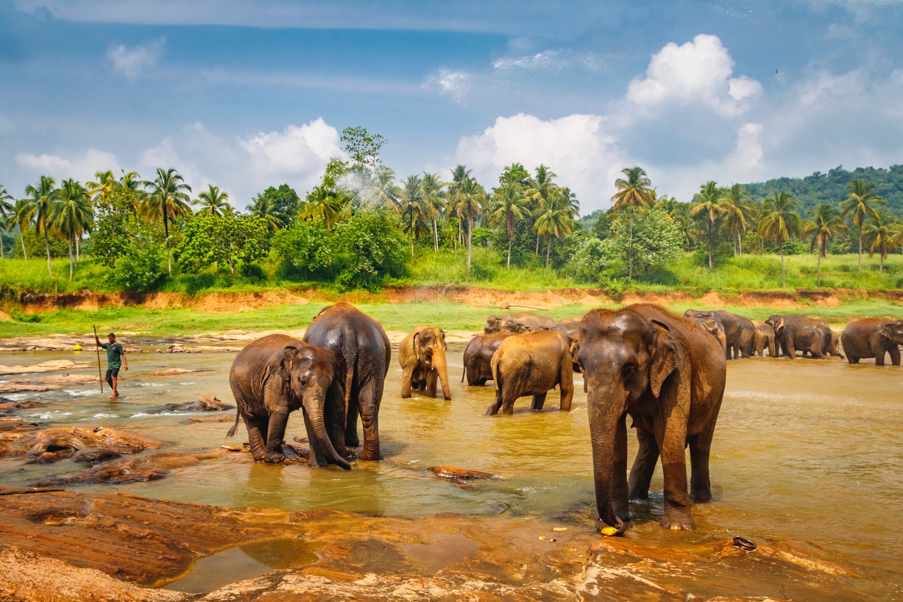 tourhub | Explore Vacations | Miraculous Sri Lanka 