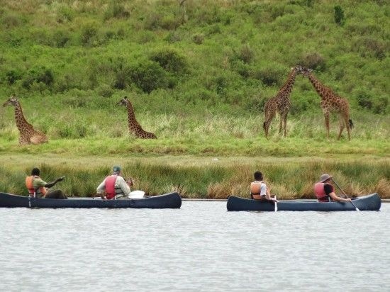 tourhub | Widerange African Safaris | 6 days safari in Tanzania | Tanzania Group Sharing Budget Safaris 