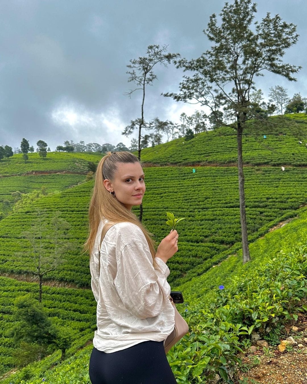 tourhub | Ran Lanka Tour Holidays (pvt) Ltd | Little England of Nuwara Eliya 