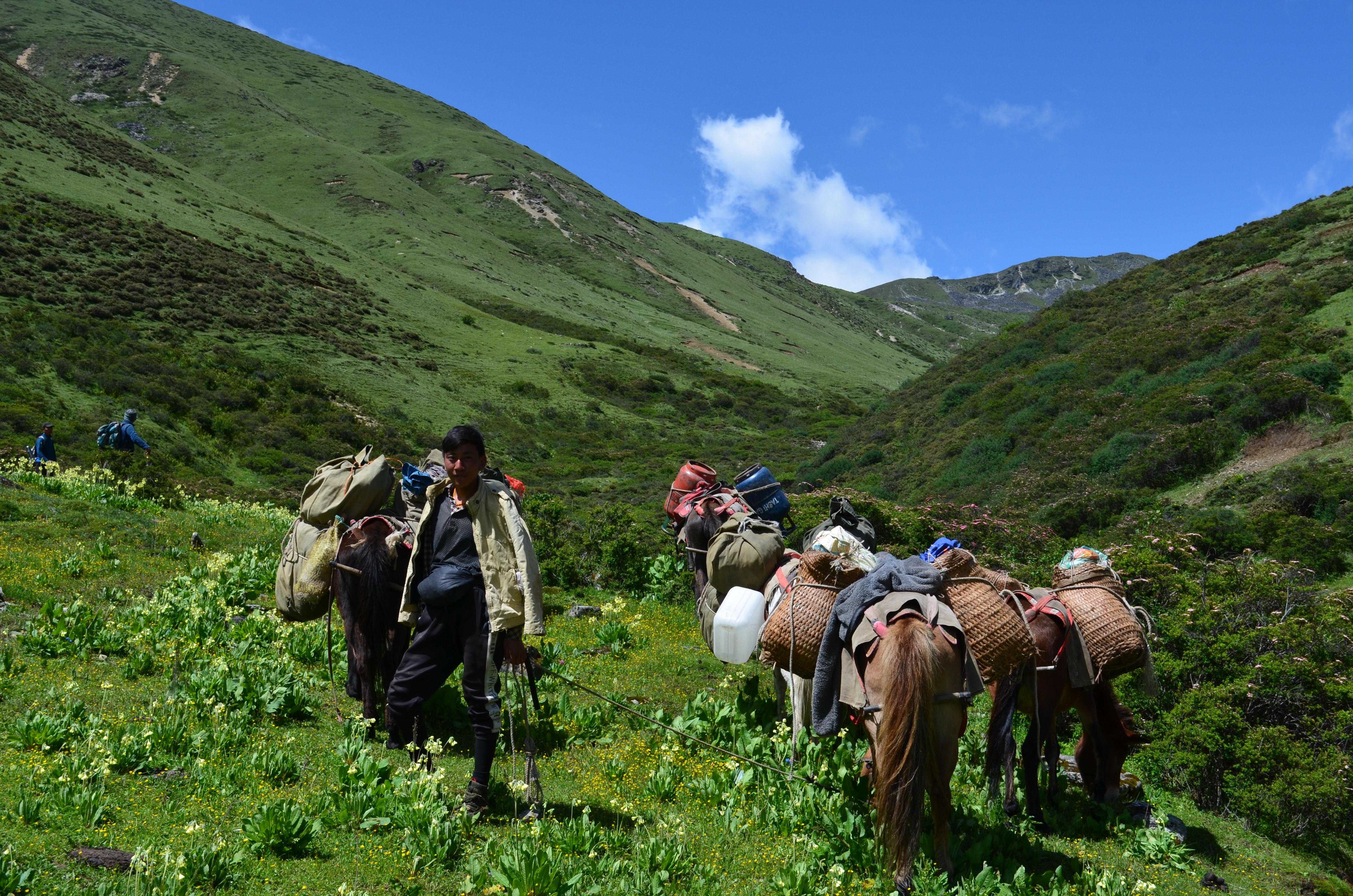 tourhub | World Tour Plan | Laya Gasa Trek 