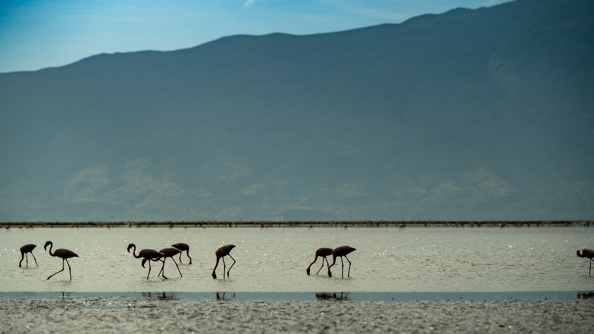 tourhub | Beach and Safari Holidays | Tanzania's Photographic Safari: Capturing Wildlife Wonders 