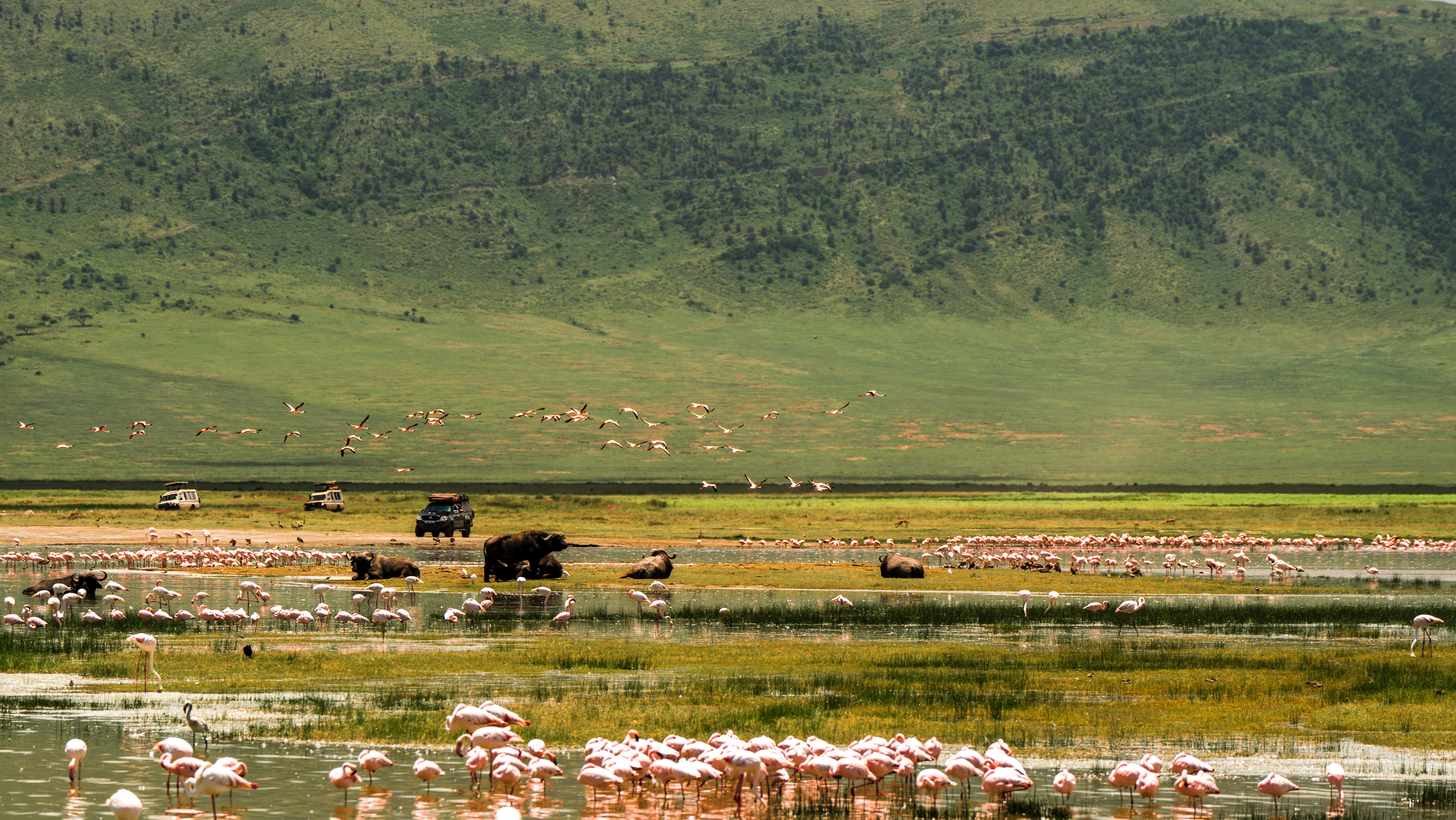 tourhub | Beach and Safari Holidays | Safari Through the Serengeti and More! 