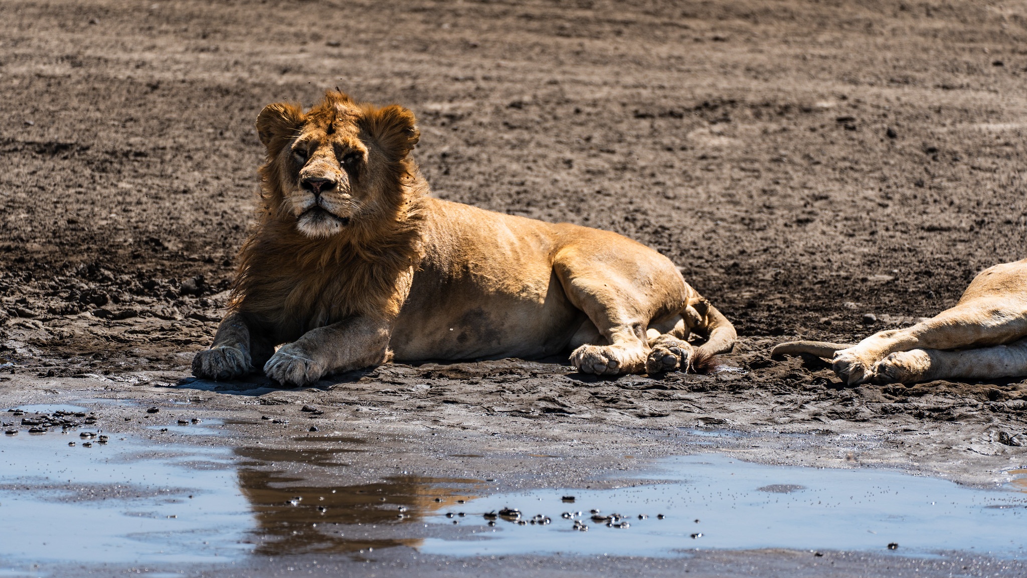 tourhub | Beach and Safari Holidays | Lake Hopping 