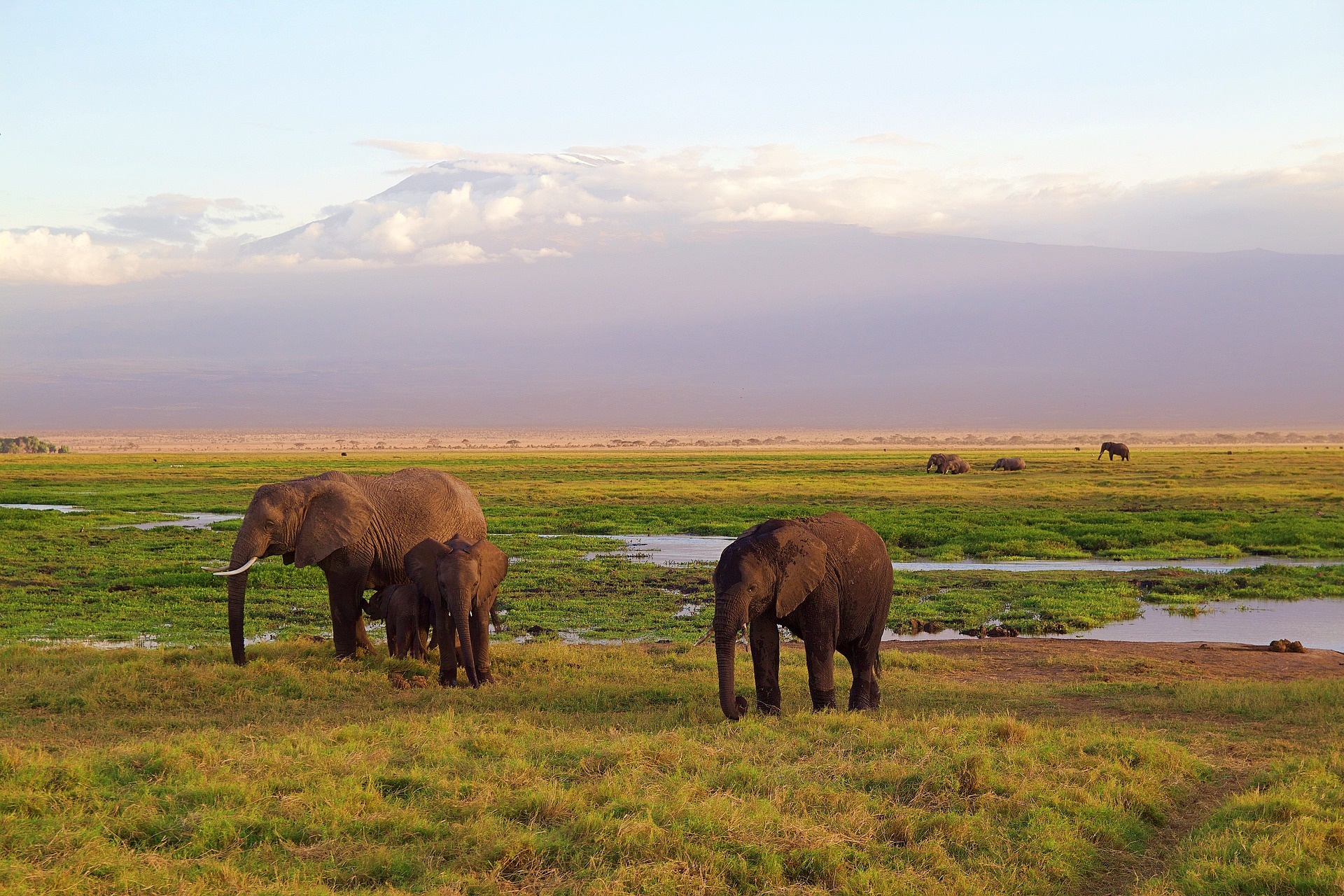 tourhub | Zara Tanzania Adventures | Best of Tanzania 9 days Luxury safari Package 