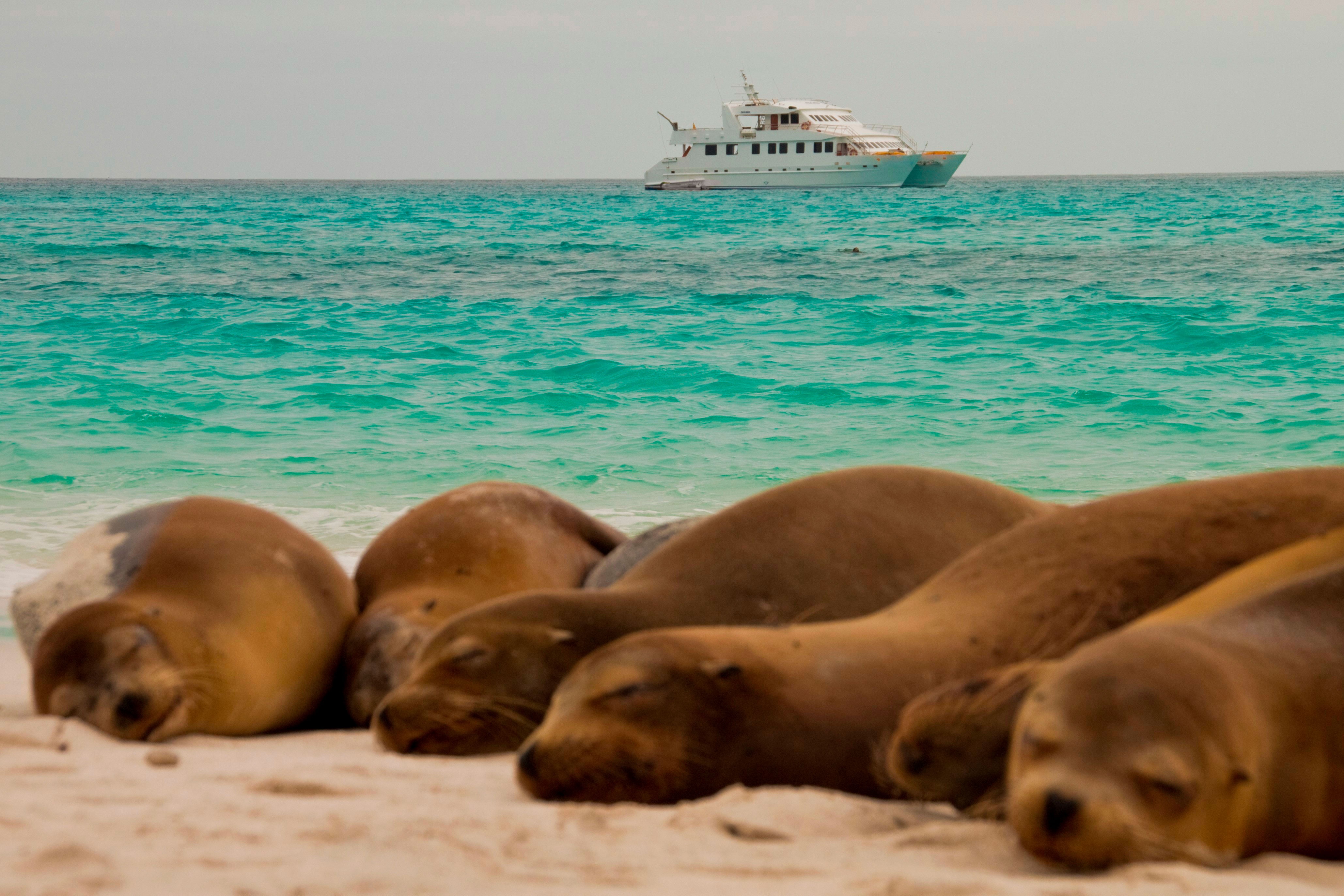 tourhub | Latin Trails | Discovering Quito and the Galapagos Islands Aboard the Seaman Journey 