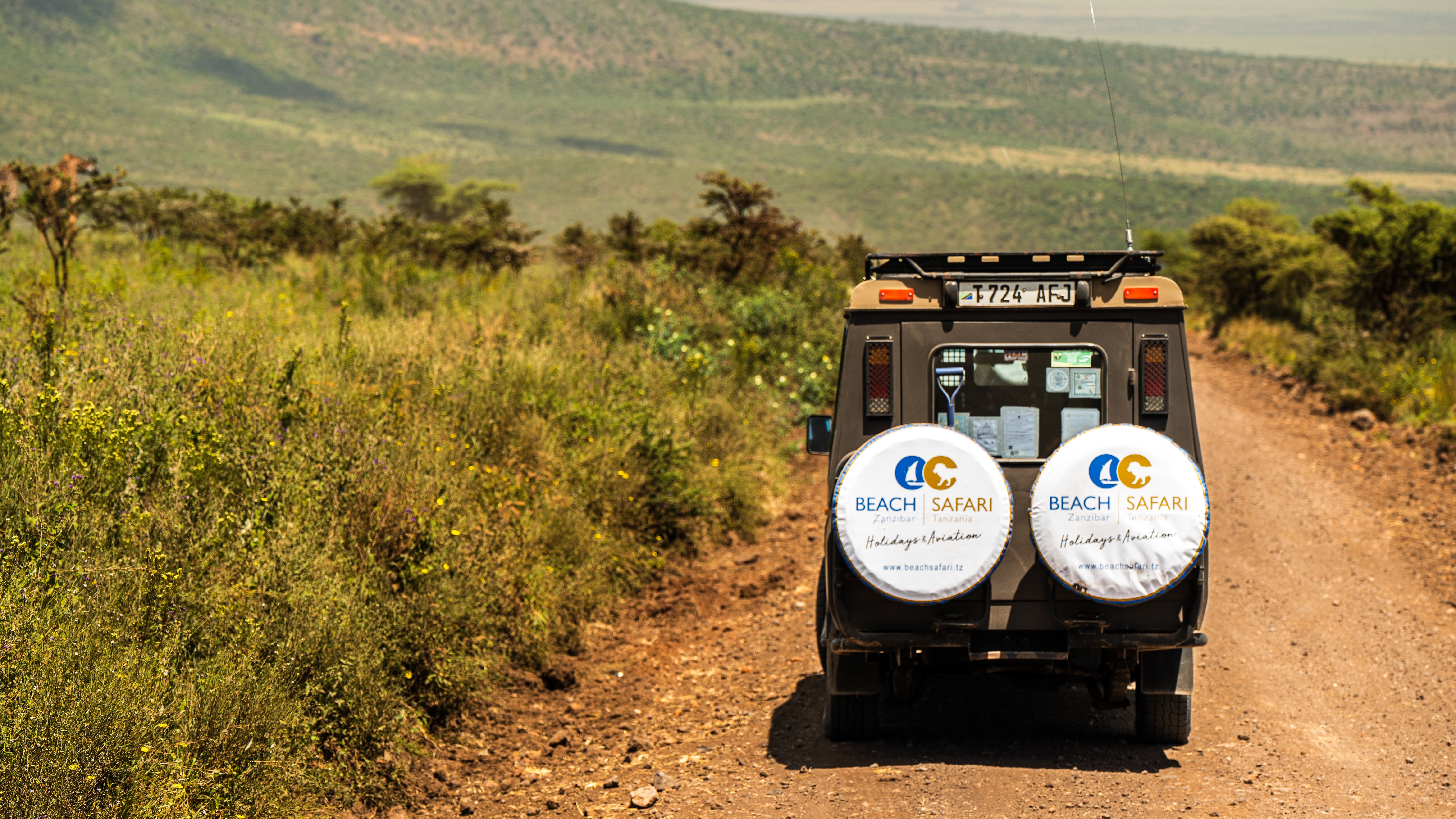 tourhub | Beach and Safari Holidays | Tanzania's Photographic Safari: Capturing Wildlife Wonders 