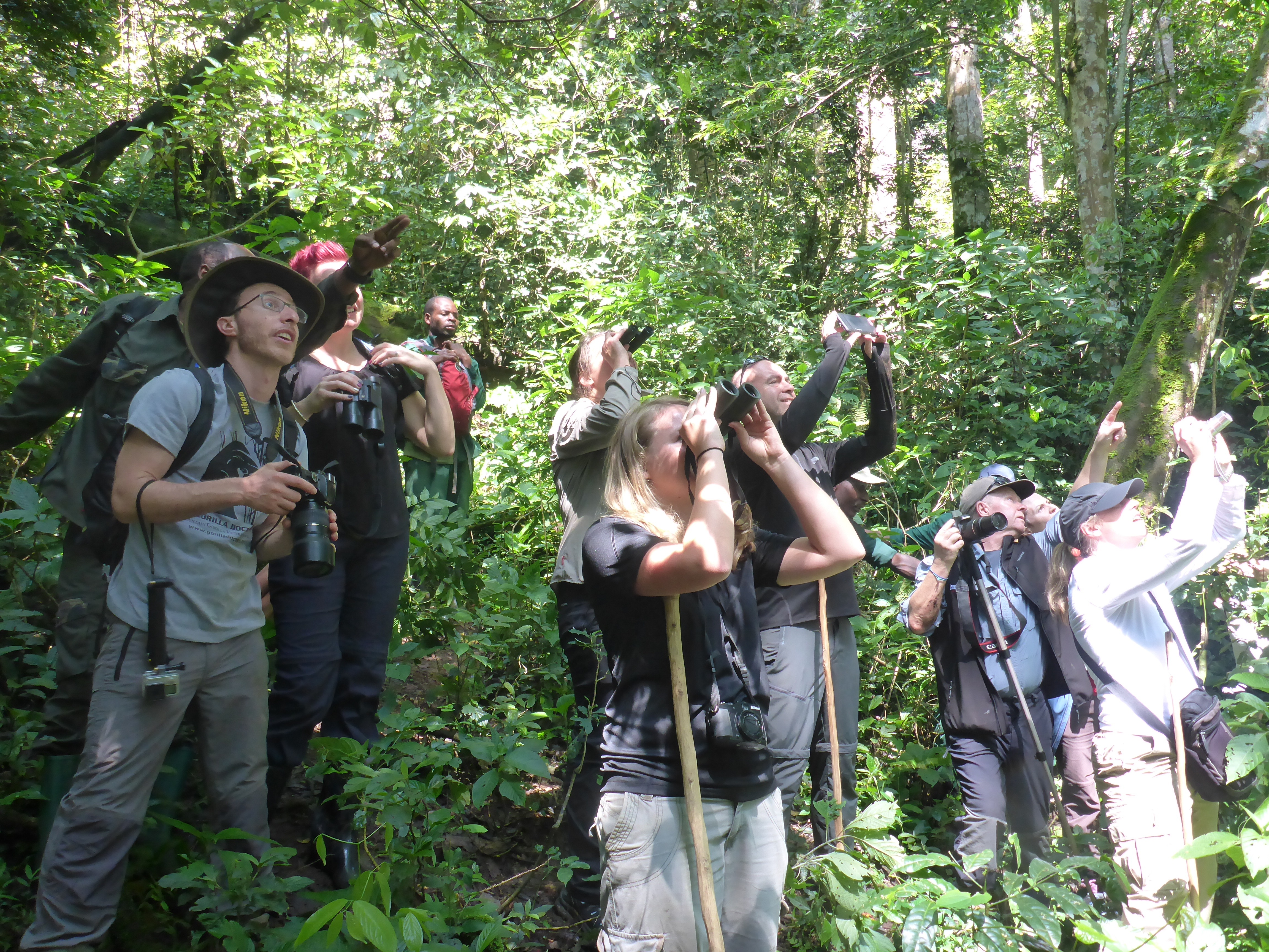 tourhub | Kingfisher Journeys | 3 Days Lake Kivu Kayaking Excursion 