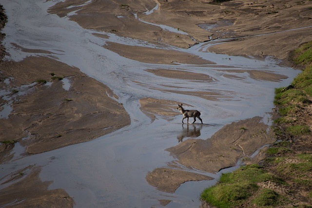 tourhub | Akondo Adventures | 3 Days Tarangire, Lake Manyara and Ngorongoro Safari 