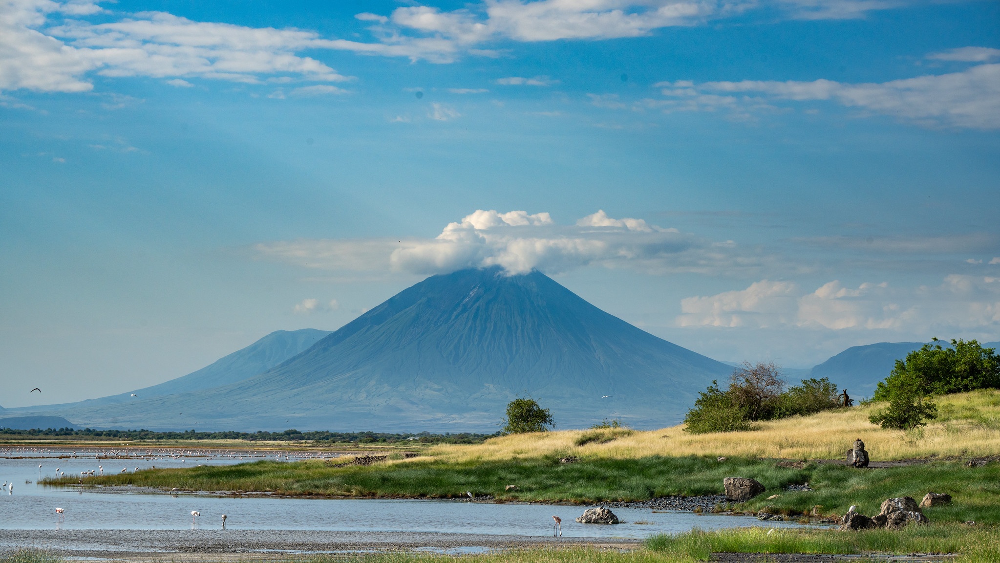 tourhub | Beach and Safari Holidays | Tanzania's Grand 14-Day Safari Expedition 