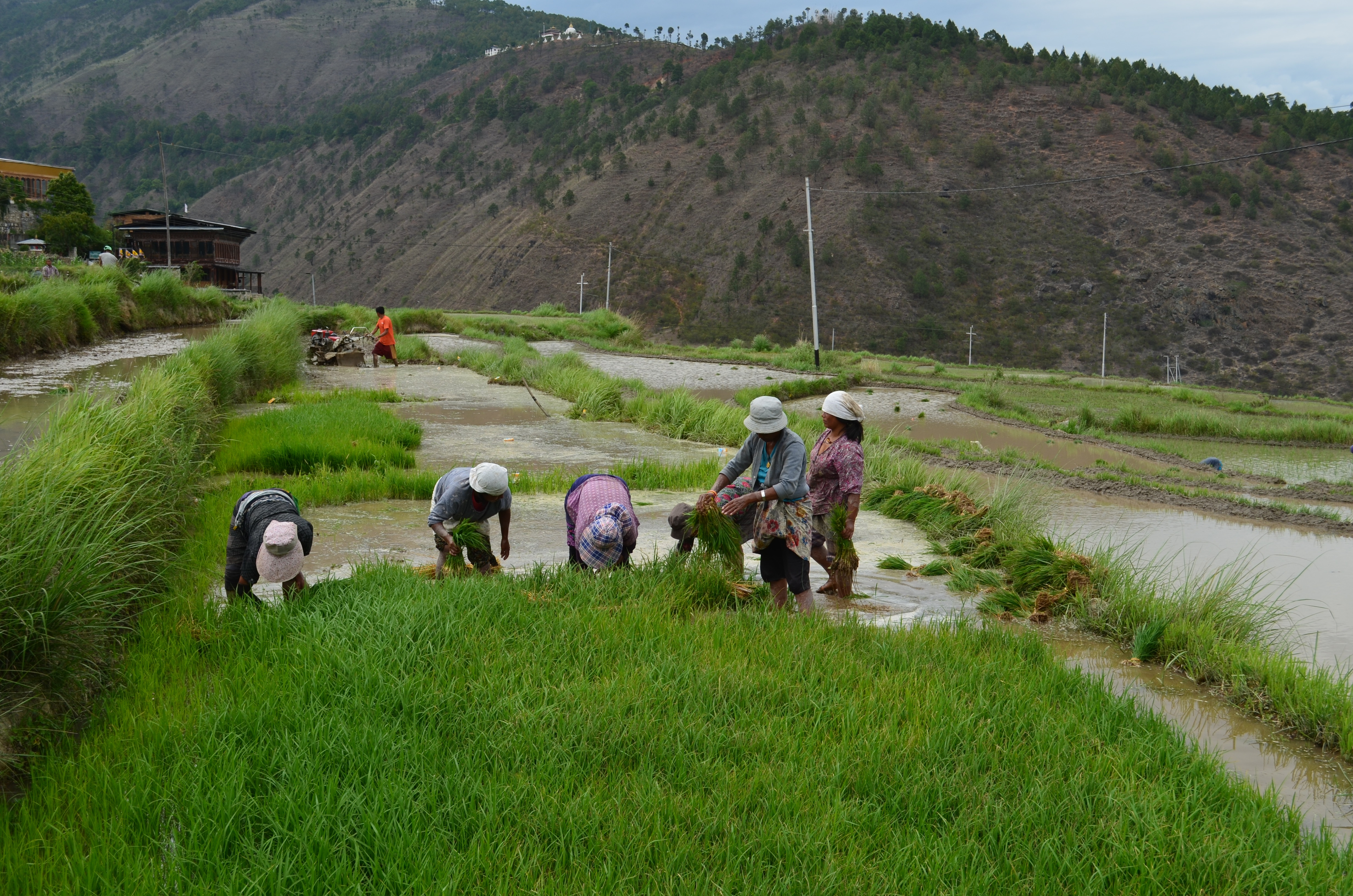 tourhub | World Tour Plan | Bhutan Spiritual & Wellness Tour 