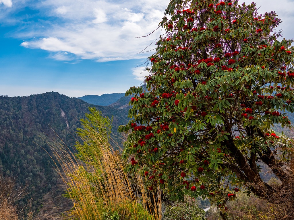 tourhub | Trek Central Pvt Ltd | Short Annapurna Base Camp Trek 