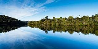 tourhub | Intrepid Travel | Hike Tasmania's Tarkine Wilderness 