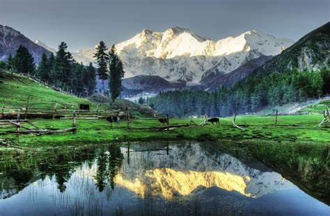 tourhub | Gypsy Traces and Tours | Fairy Meadows Tour 