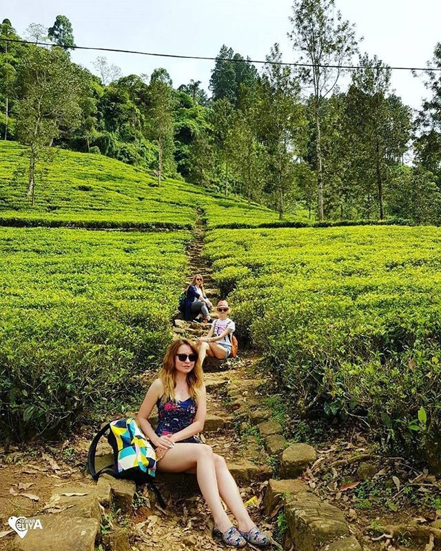 tourhub | Ran Lanka Tour Holidays | Trekking Heeloya village 