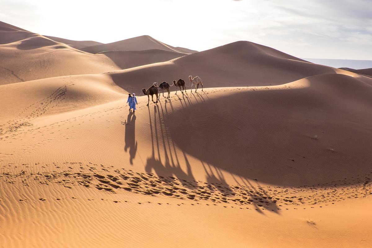 tourhub | Best Tours Morocco | SAHARA EXPERIENCE (Private Guided tour/ 4 Star Hotels) 