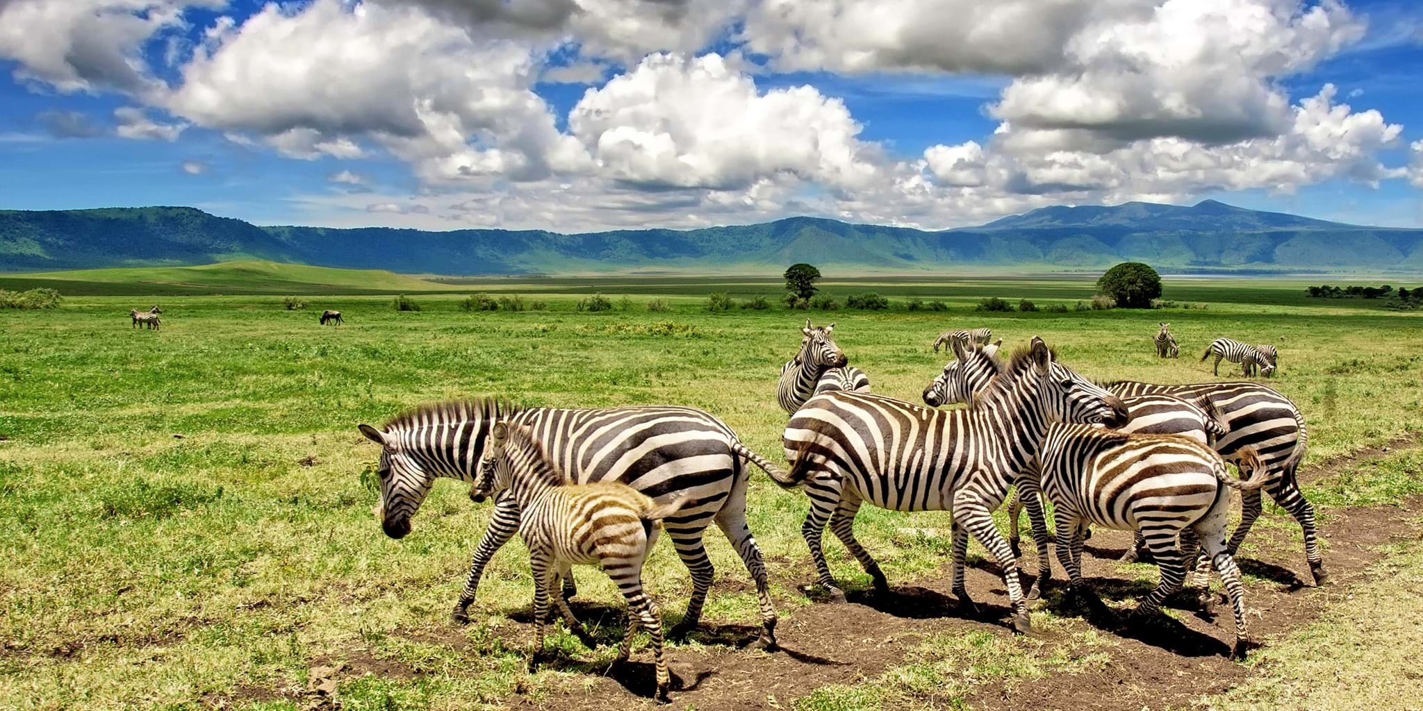 tourhub | Gracepatt Ecotours Kenya | From Nairobi: 2 Days Amboseli National Park Safari Package 