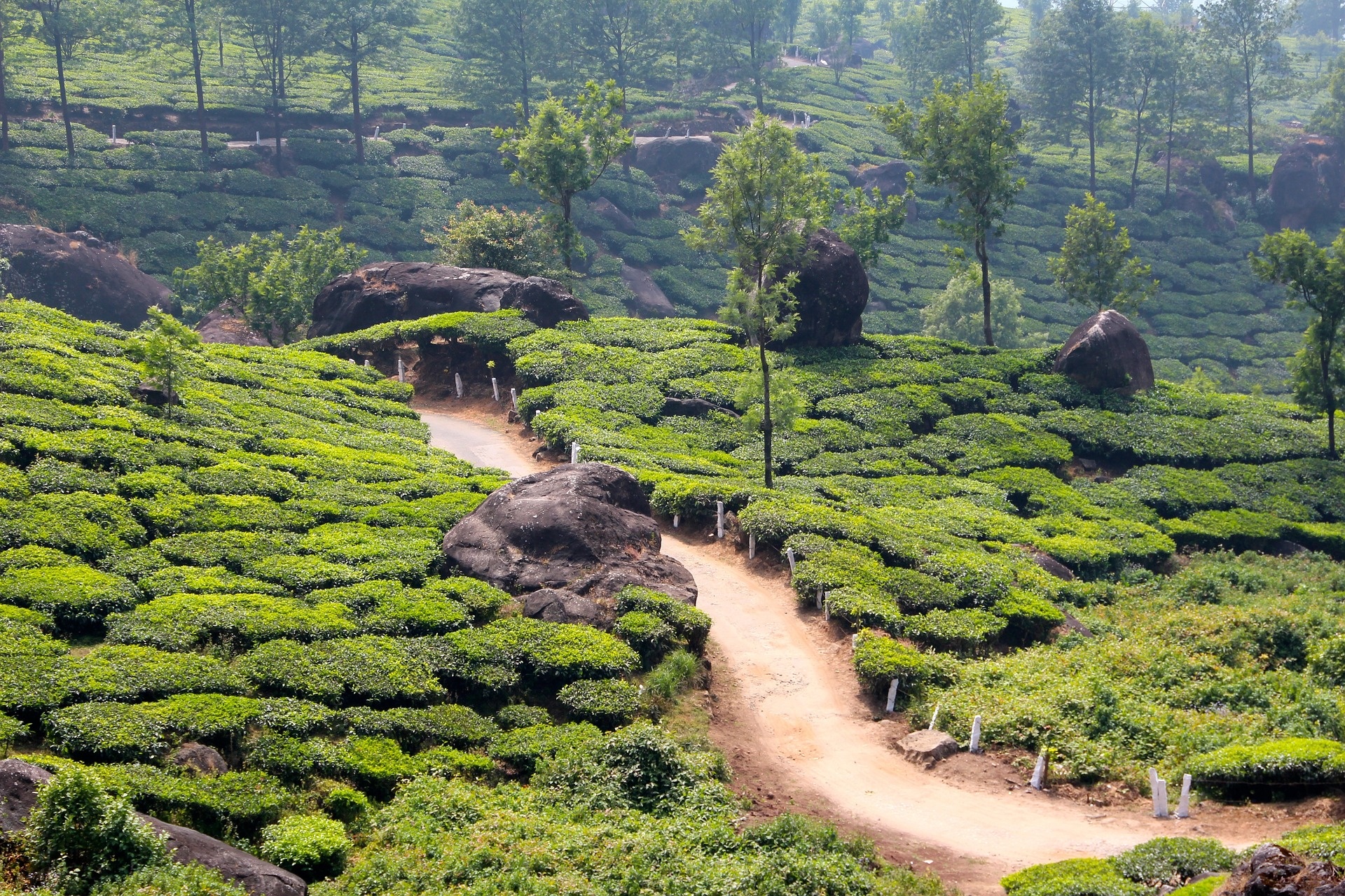 tourhub | The Voyages India | 3N/4D Kerala Tour from Cochin 