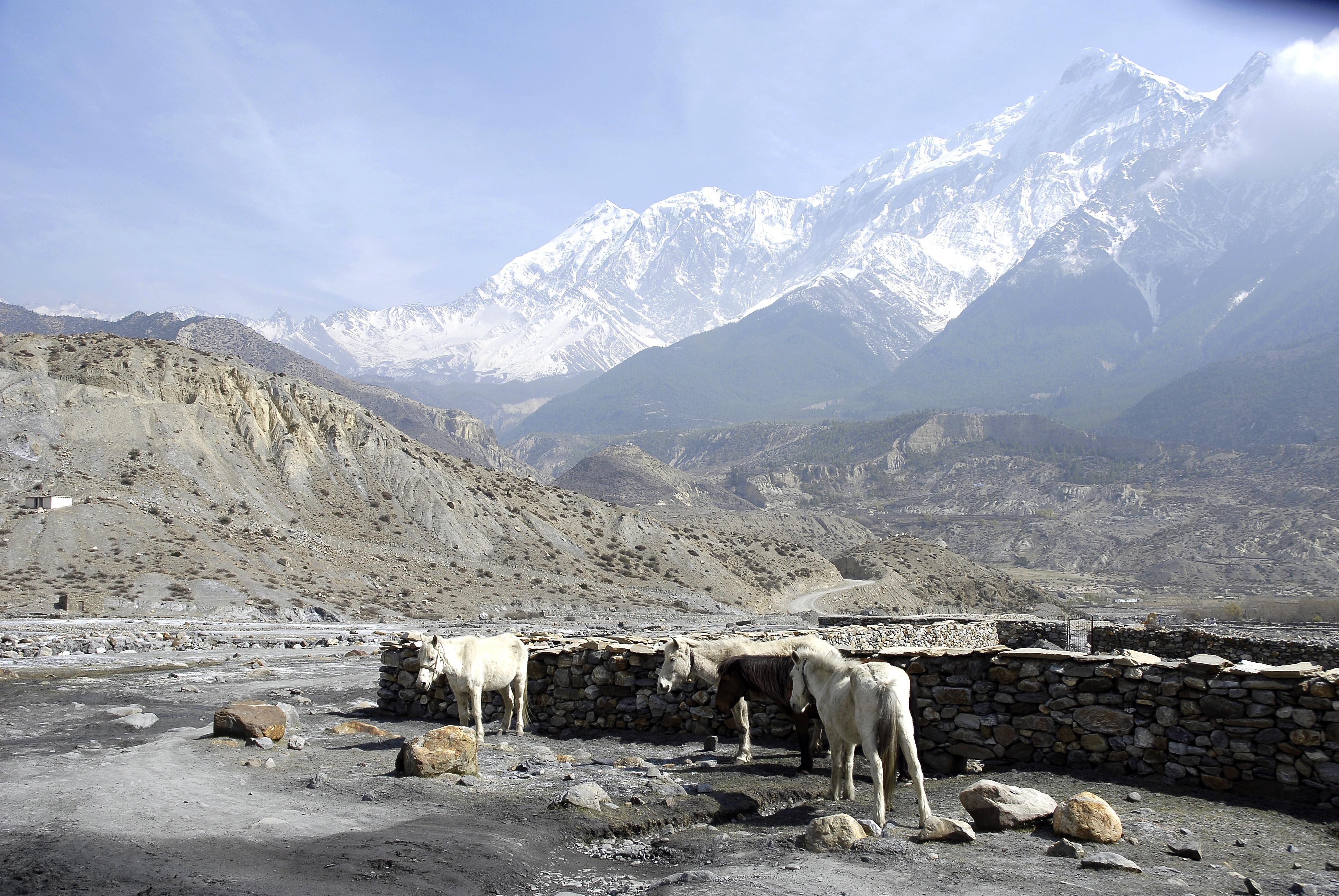 tourhub | Himalayan Sanctuary Adventure | Upper Mustang Trek 