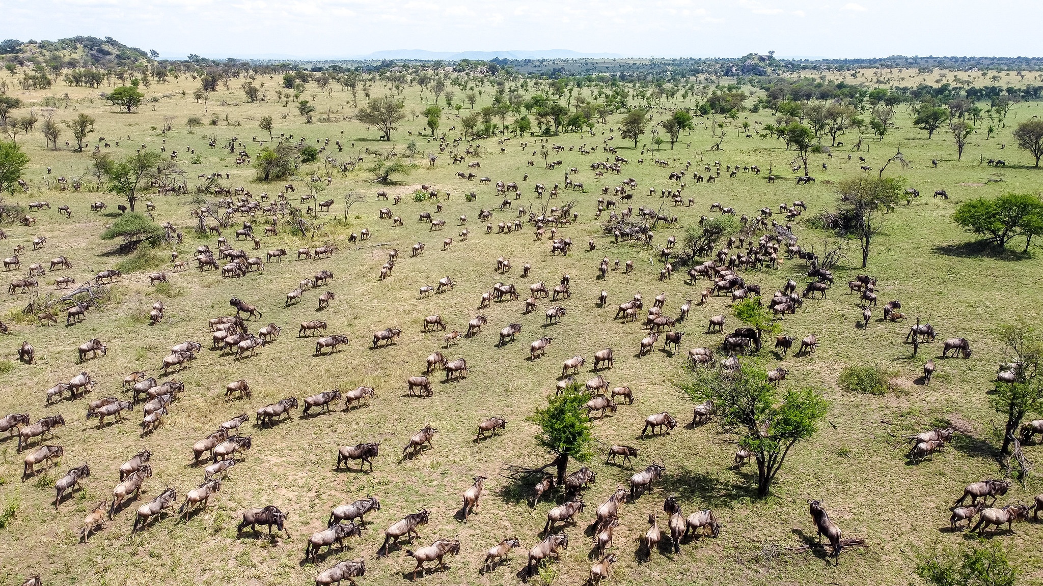 tourhub | Beach and Safari Holidays | A Journey Through The Ngorongoro Crater and Serengeti National Park 