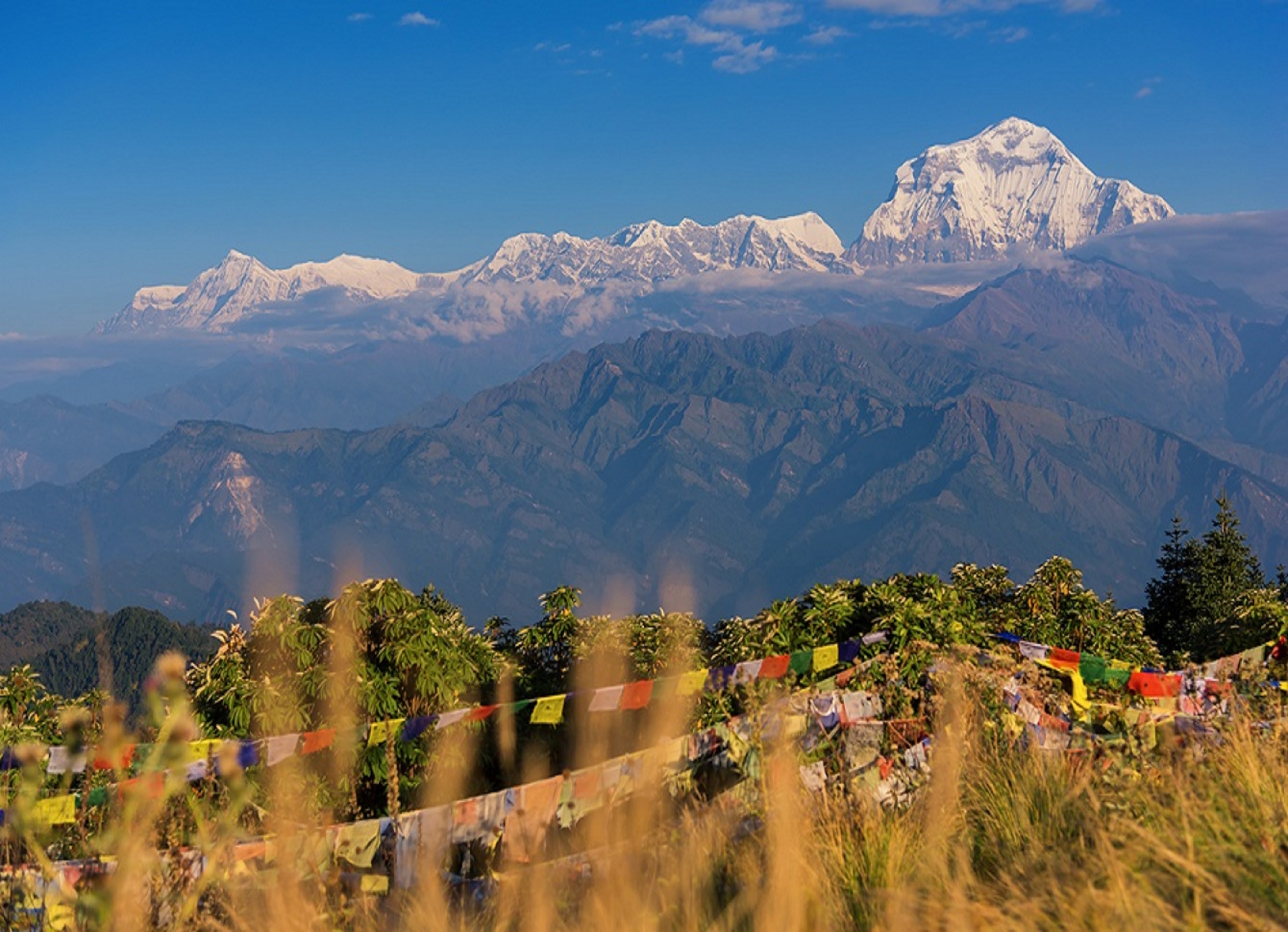 tourhub | Bold Himalaya Treks & Travels | Ghorepani Poonhill Trek 