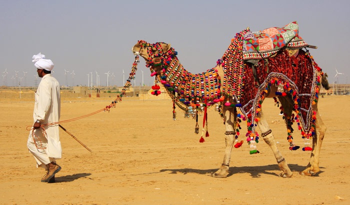 tourhub | GeTS Holidays | INCREDIBLE RAJASTHAN TOUR 