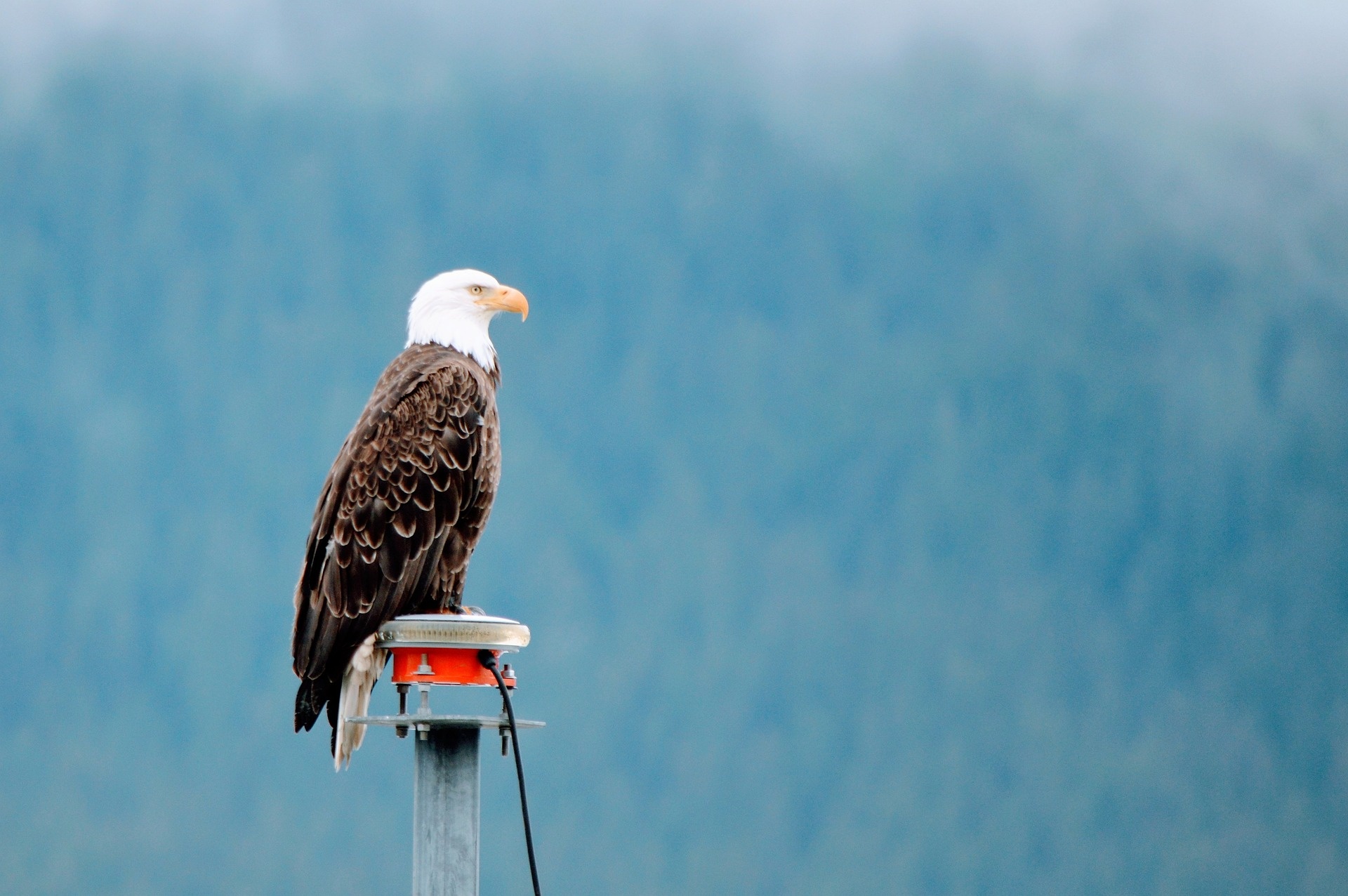 tourhub | Tours of Distinction | Discover Alaska by Land & Cruise 