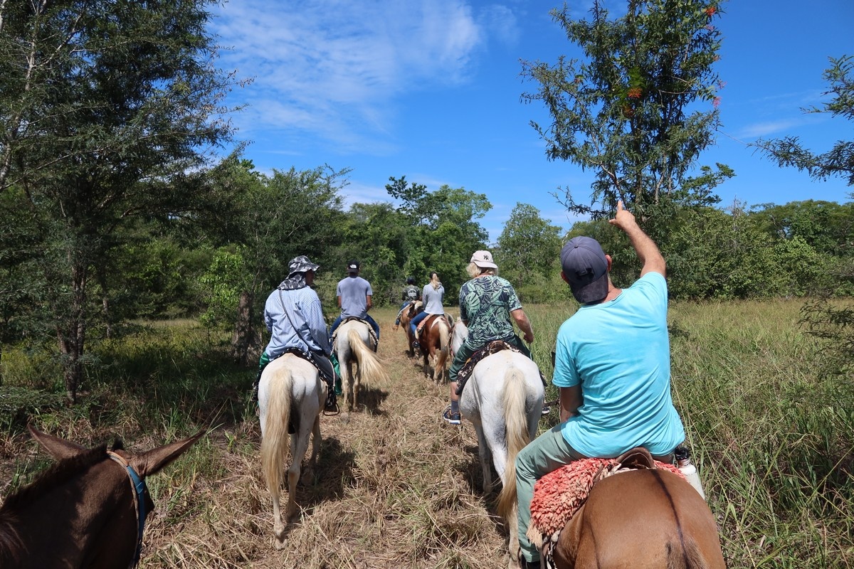 tourhub | Etours Brazil | Northern Pantanal round trip: Chapada dos Guimarães - Nobres - Pantanal - Jaguar safari 