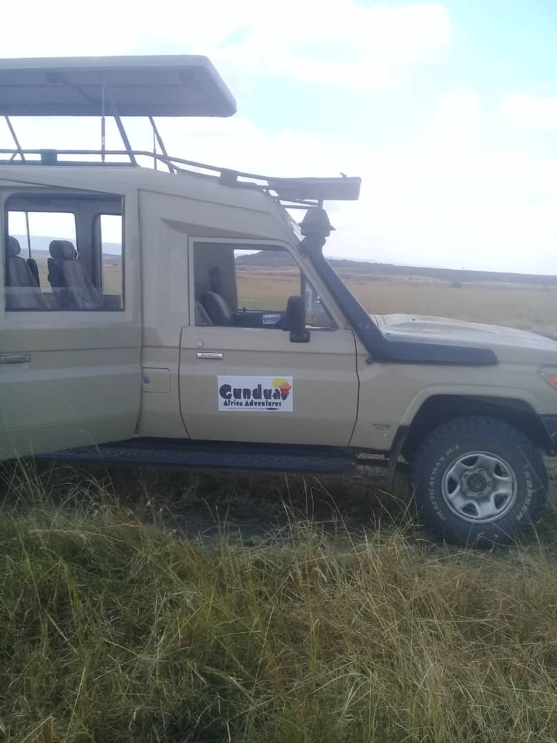 tourhub | Gundua Africa Adventures | 4 Days Joining Camping Safari in Tarangire, Serengeti and Ngorongoro 