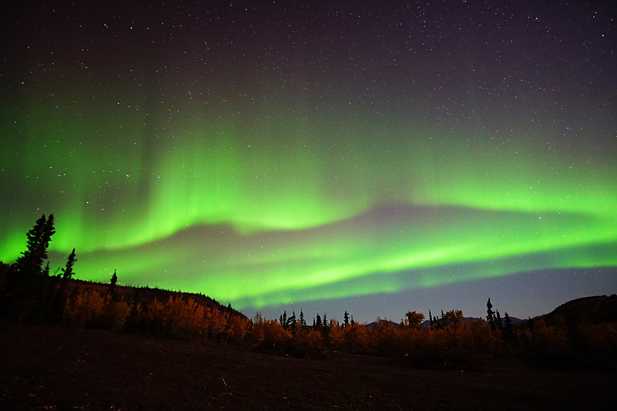 tourhub | Arctic Range Adventure | Best Value Aurora Viewing / Hiking, Wildlife & Hot Springs 