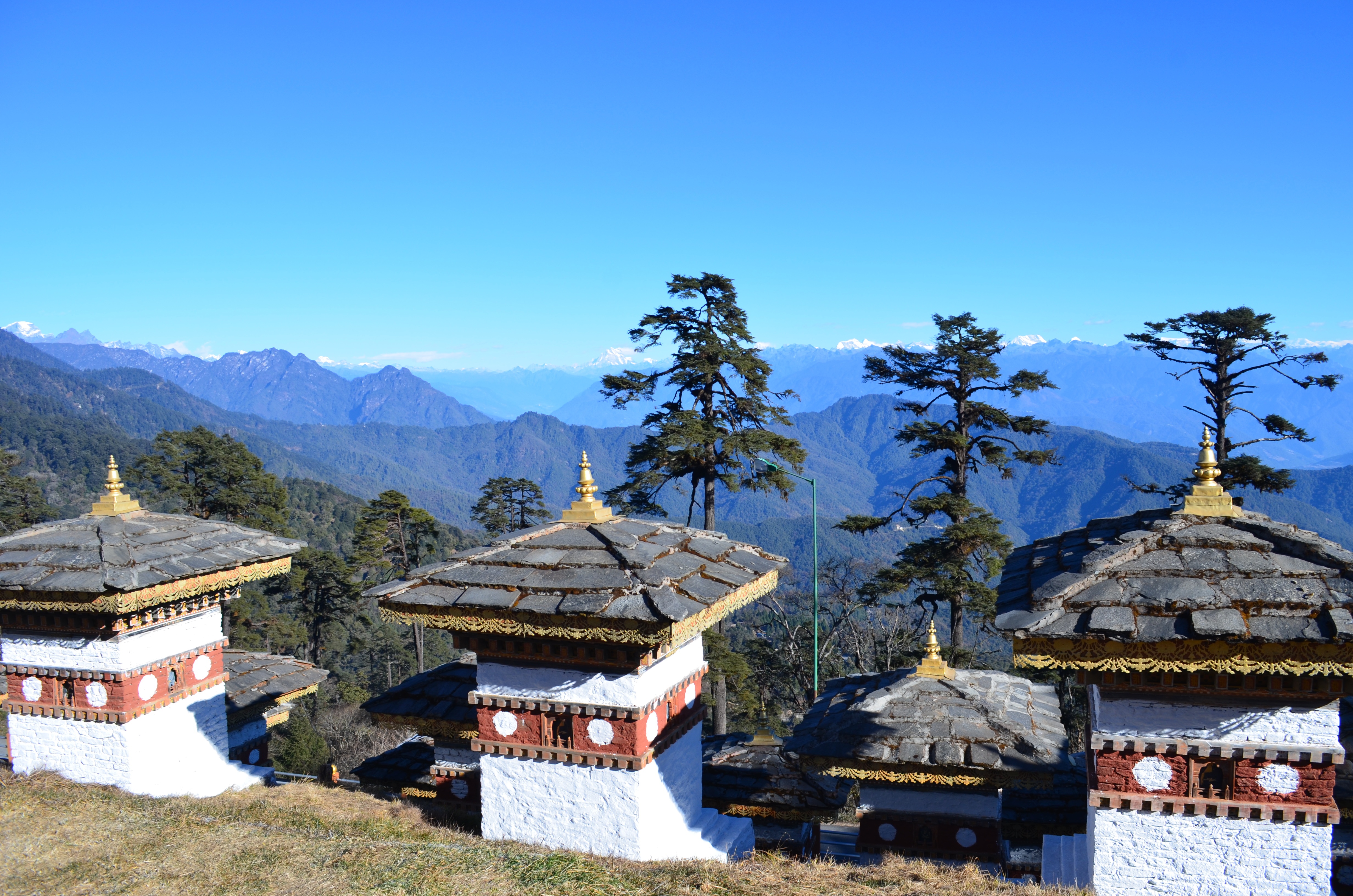 tourhub | World Tour Plan | Bhutan Nature Conscious Tour 